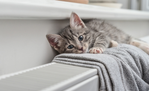 U als klant bent altijd verzekerd van zorgeloos warmte